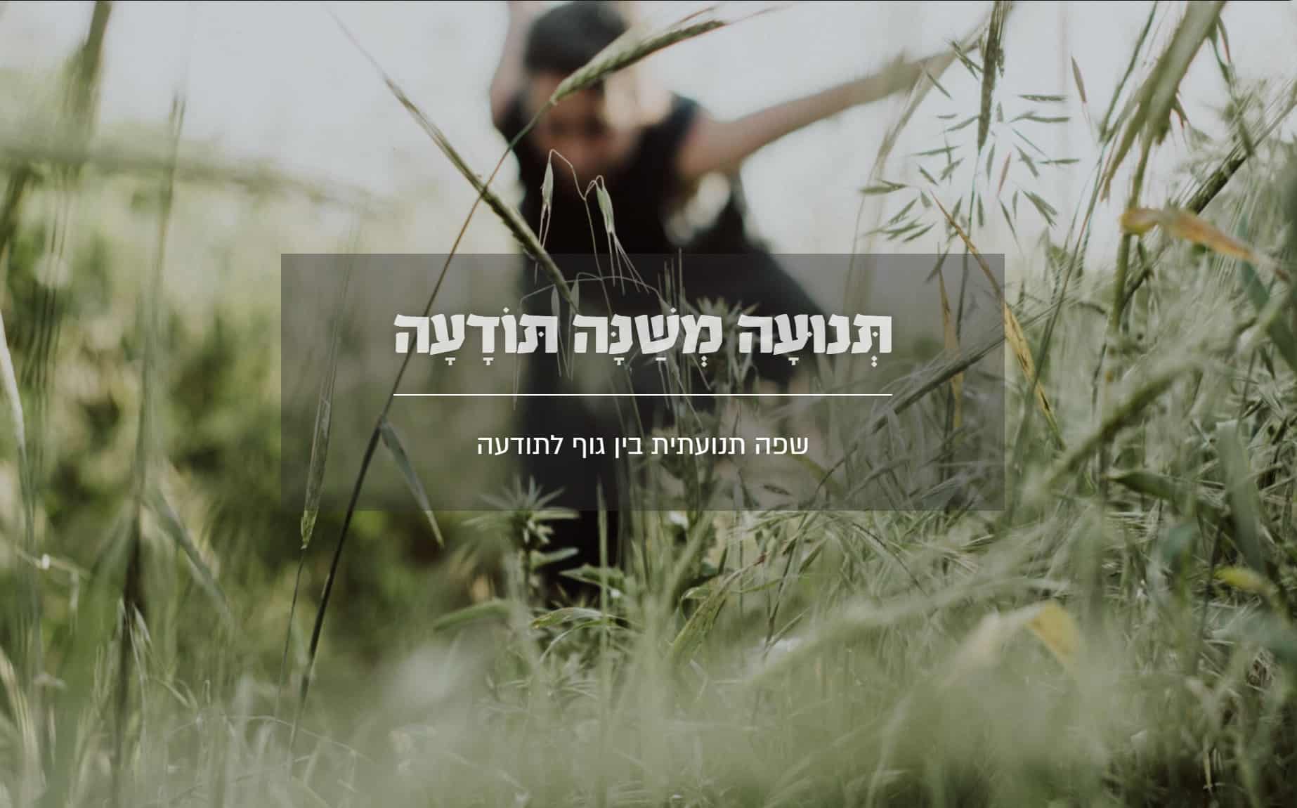 פתיחי הנושאים